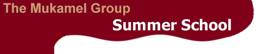 The Mukamel Group: Summer School